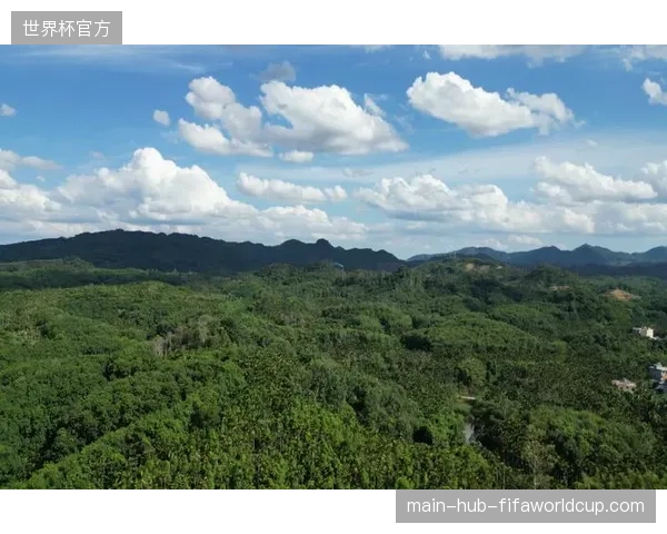 2027年赛事传播生态重组，区域深度运营或将消解当前招商压力
